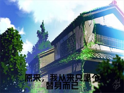 卫靖瑶邱锦（原来，我从来只是个替身而已）全文免费阅读无弹窗_卫靖瑶邱锦最新小说_笔趣阁（原来，我从来只是个替身而已）