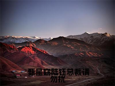  甄星窈陆钰（总裁请勿扰，原配已重生）在哪免费看- 甄星窈陆钰小说（总裁请勿扰，原配已重生）全文完整版免费阅读