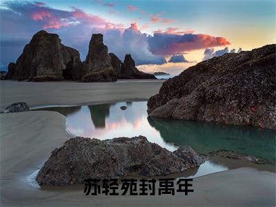苏轻苑封禹年（封禹年苏轻苑）是什么小说-（封禹年苏轻苑）无弹窗免费阅读大结局最新章节列表_笔趣阁