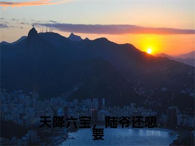 天降六宝，陆爷还想要(宁润陆南渊)全文免费阅读无弹窗大结局_天降六宝，陆爷还想要免费阅读无弹窗最新章节列表_笔趣阁(宁润陆南渊)