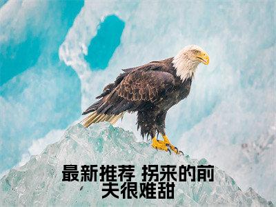 拐来的前夫很难甜( 傅景川方万晴)全文免费阅读无弹窗大结局_（ 傅景川方万晴）的小说（拐来的前夫很难甜）最新章节列表