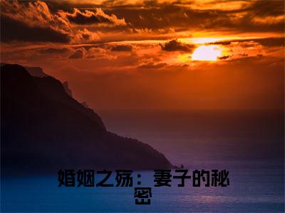 婚姻之殇：妻子的秘密小说全文免费阅读 方恒林欣免费完整版阅读