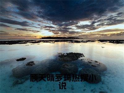 农门悍妻：神秘相公来种田( 顾天晴罗琦)全文在线阅读无弹窗_农门悍妻：神秘相公来种田小说全文大结局