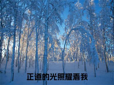 正道的光照耀着我（何苗苗冉均）全文免费阅读_（正道的光照耀着我）免费阅读无弹窗最新章节列表