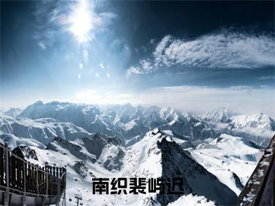 南织裴屿迟（裴屿迟南织）全文免费阅读无弹窗大结局-南织裴屿迟最新章节列表免费阅读