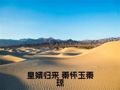 皇婿归来（ 秦怀玉秦琼小说）全文免费阅读无弹窗大结局_皇婿归来小说 秦怀玉秦琼列表_笔趣阁( 秦怀玉秦琼小说）