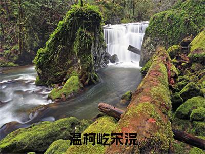 宋浣温柯屹全文推荐阅读，温柯屹宋浣热门榜单免费新书阅读