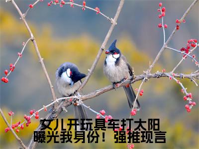 女儿开玩具车打太阳曝光我身份！（ 陆荣盼盼）全文免费阅读_女儿开玩具车打太阳曝光我身份！小说最新章节列表笔趣阁