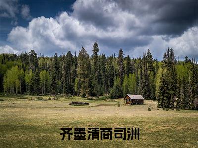 齐墨清商司洲（商司洲齐墨清）全文免费阅读无弹窗大结局_(齐墨清商司洲阅读全文大结局)商司洲齐墨清最新章节列表（商司洲齐墨清）