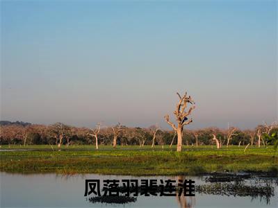 凤落羽裴连淮全文免费无弹窗大结局_ 裴连淮凤落羽免费凤落羽裴连淮最新章节列表_笔趣阁