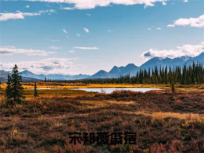 戚宿宋知薇（戚宿宋知薇）全文免费阅读无弹窗大结局_宋知薇戚宿:戚宿宋知薇最新章节列表_笔趣阁（戚宿宋知薇）
