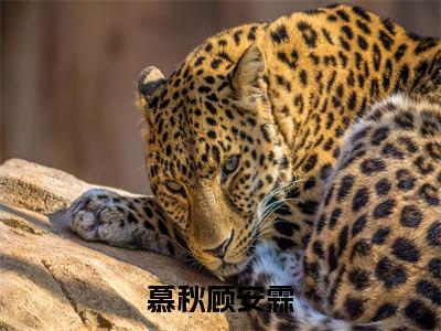 顾安霖慕秋（慕秋顾安霖）全文免费阅读无弹窗大结局_顾安霖慕秋最新章节列表_笔趣阁（慕秋顾安霖）