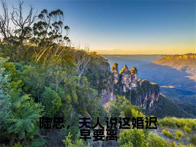 陆总，夫人说这婚迟早要离全文免费阅读_（盛渺陆怀序免费阅读无弹窗）陆总，夫人说这婚迟早要离知乎高赞小说阅读