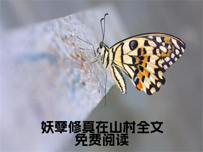 妖孽修真在山村 方林刘泽正版小说全文阅读  方林刘泽全文免费完整版