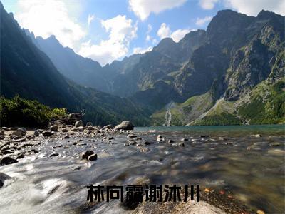 谢沐川林向露（林向露谢沐川）小说免费阅读_谢沐川林向露精选小说全文阅读（林向露谢沐川）