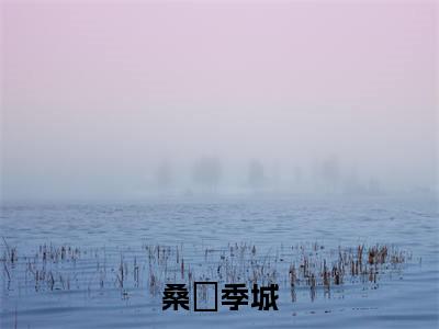 桑姀季城小说（季城桑姀）全文免费阅读_（桑姀季城小说）季城桑姀小说精彩在线赏析
