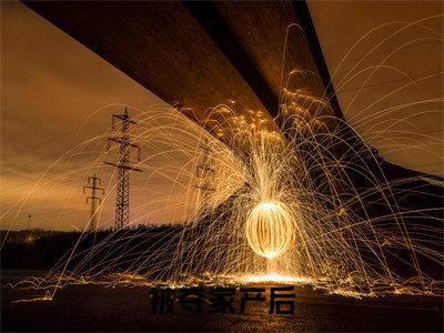 被夺家产后,我手撕凤凰男小说全文免费阅读（ 文文寒文）全文免费 文文寒文读无弹窗大结局被夺家产后,我手撕凤凰男