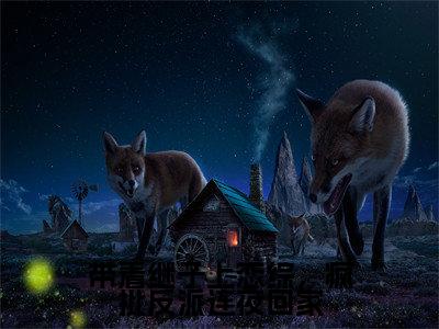  傅君恒宋浅浅（带着继子上恋综，疯批反派连夜回家）免费阅读无弹窗大结局-带着继子上恋综，疯批反派连夜回家（最新全章节大结局）全文阅读