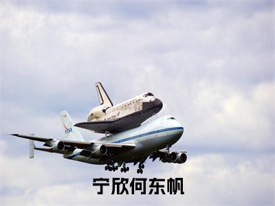 何东帆宁欣小说（宁欣何东帆）免费阅读-宁欣何东帆（何东帆宁欣）全章节最新阅读