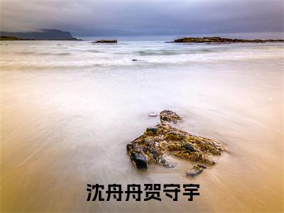贺守宇沈舟舟免费小说（沈舟舟贺守宇）全文无弹窗阅读 贺守宇沈舟舟大结局免费阅读无弹窗