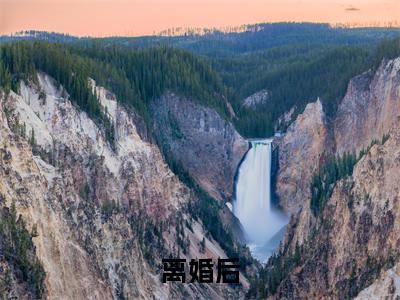 离婚后，前夫他纠缠不休在线阅读（ 顾言夏暮）全文无弹窗大结局_ 顾言夏暮全文在线阅读无弹窗
