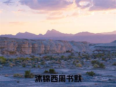沐锦西周书默（周书默沐锦西）全文免费在线阅读_沐锦西周书默全文阅读_笔趣阁（周书默沐锦西）