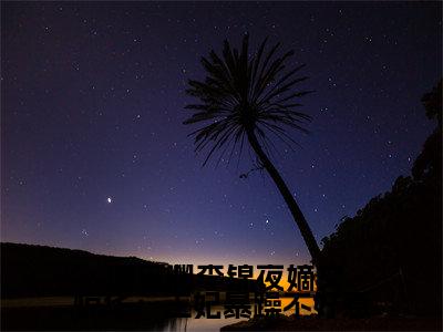  谢玉渊李锦夜小说（嫡女惊华：王妃暴躁不好惹）全文免费阅读无弹窗大结局_（ 谢玉渊李锦夜）小说章节列表（嫡女惊华：王妃暴躁不好惹）