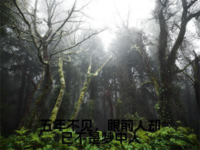 木子易沈冉小说五年不见，眼前人却已不是梦中人全文免费阅读无弹窗-正版小说木子易沈冉全文阅读