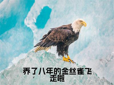 养了八年的金丝雀飞走啦（裴焱沐青媃）免费小说-裴焱沐青媃（养了八年的金丝雀飞走啦）全文精彩章节阅读-笔趣阁