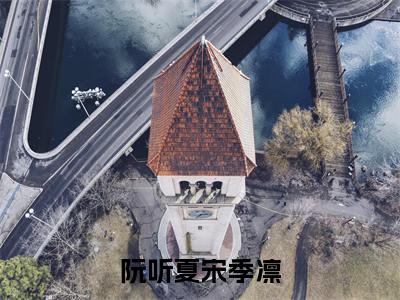 阮听夏宋季凛美文欣赏完整版，宋季凛阮听夏精彩章节在线阅读