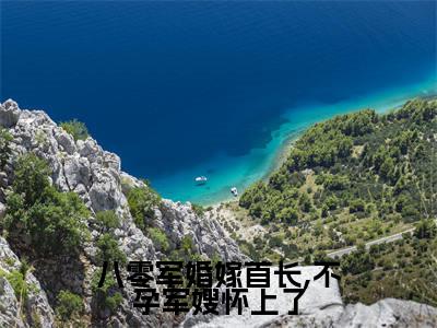 八零军婚嫁首长,不孕军嫂怀上了（花圆圆郝栎）全文免费阅读_八零军婚嫁首长,不孕军嫂怀上了免费阅读最新章节列表笔趣阁（花圆圆郝栎）