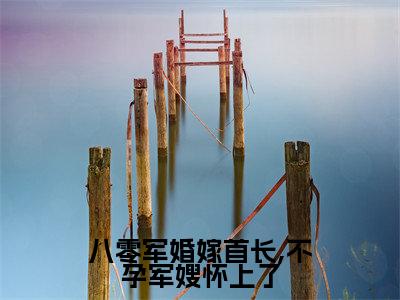 八零军婚嫁首长,不孕军嫂怀上了小说最新章节（花圆圆郝栎）全文免费阅读无弹窗大结局_花圆圆郝栎免费阅读（八零军婚嫁首长,不孕军嫂怀上了小说）
