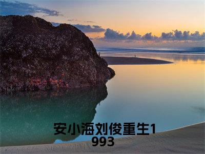  安小海刘俊书名是《重生1993，暗海》在线赏析_重生1993，暗海热门推荐阅读笔趣阁