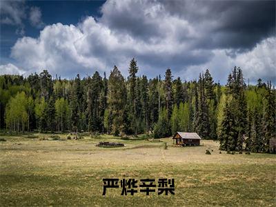 严烨辛梨无广告小说（辛梨严烨）全文免费阅读无弹窗大结局-严烨辛梨在线阅读