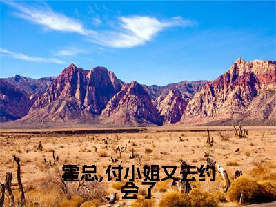 霍总,付小姐又去约会了是什么小说- 付蔓霍盛霆免费小说在线阅读