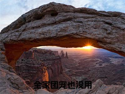 全家团宠也没用，绝不原谅！全文免费阅读无弹窗大结局- 谢城晟陆莺晗最新章节列表_笔趣阁（全家团宠也没用，绝不原谅！）