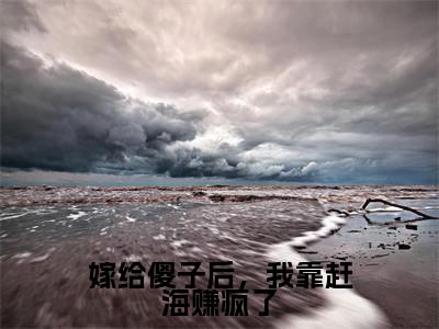 嫁给傻子后，我靠赶海赚疯了（余年）全文免费阅读无弹窗大结局_嫁给傻子后，我靠赶海赚疯了免费阅读无弹窗
