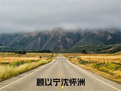 顾以宁沈怀洲（沈怀洲顾以宁）老书虫2023良心推荐小说-顾以宁沈怀洲（沈怀洲顾以宁）小说精彩免费试读