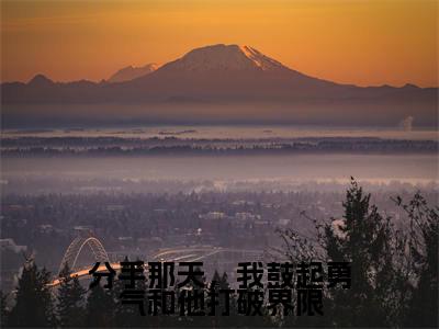 热门小说已完结顾恒之盛音小说无弹窗大结局_顾恒之盛音分手那天，我鼓起勇气和他打破界限全文阅读大结局