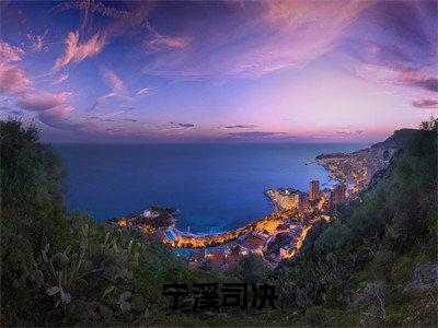 宁溪司决(司决宁溪)全文免费阅读无弹窗大结局_宁溪司决全文免费阅读最新章节列表_笔趣阁（司决宁溪）
