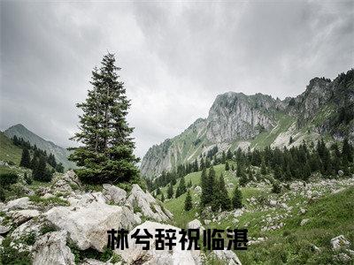 林兮辞祝临湛全本小说无弹窗阅读-林兮辞祝临湛（祝临湛林兮辞）精彩热门小说