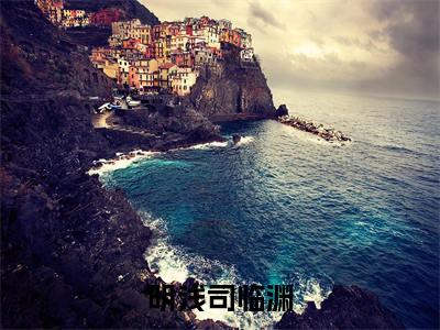 司临渊明浅（明浅司临渊）全网首发小说-小说明浅司临渊（司临渊明浅）完整版全文在线赏析