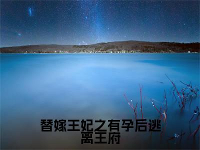 陆泽渊南明珠小说（替嫁王妃之有孕后逃离王府）全文免费阅读无弹窗大结局_(替嫁王妃之有孕后逃离王府)陆泽渊南明珠小说最新章节列表_笔趣阁（陆泽渊南明珠小说）