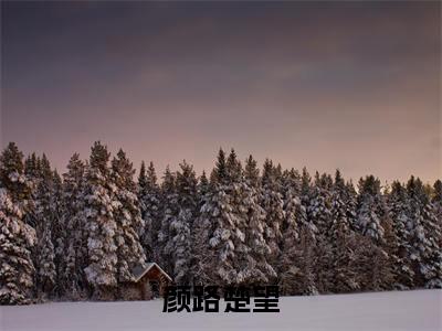 小说颜路楚望全文免费阅读无弹窗大结局-颜路楚望楚望颜路在线阅读最新章节列表_笔趣阁