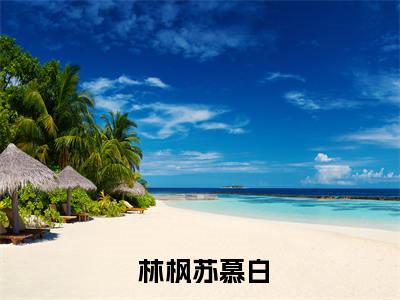 神霄剑修：哥这苟王手握七剑成最强小说全文试读（ 林枫苏慕白）小说免费阅读-神霄剑修：哥这苟王手握七剑成最强小说全文试读（ 林枫苏慕白）已完结全集大结局小说