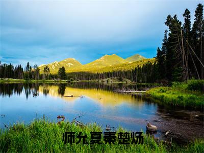 师允夏秦楚炀小说（秦楚炀师允夏）全文免费阅读结局-师允夏秦楚炀强推全文阅读无弹窗