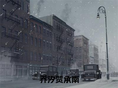 贺承南乔汐（乔汐贺承南）免费小说全文完整版-乔汐贺承南最新章节完整版阅读