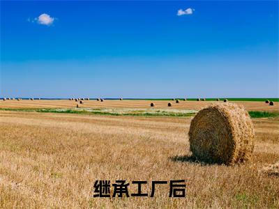 继承工厂后，我开卷了国货商战（ 周阳黄义明小说）全文免费阅读无弹窗大结局_继承工厂后，我开卷了国货商战小说 周阳黄义明列表_笔趣阁( 周阳黄义明小说）