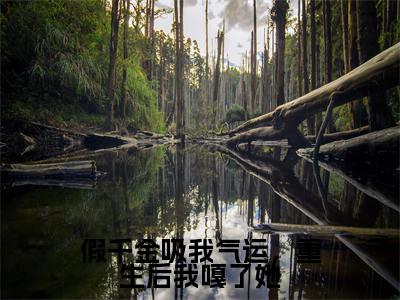 假千金吸我气运，重生后我嘎了她（沈承睿顾浅）免费阅读无弹窗大结局-假千金吸我气运，重生后我嘎了她免费阅读大结局最新章节列表_笔趣阁