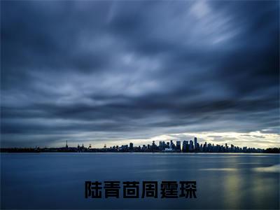 周霆琛陆青茴（陆青茴周霆琛）全文免费阅读无弹窗大结局_陆青茴周霆琛（周霆琛陆青茴无弹窗）_笔趣阁